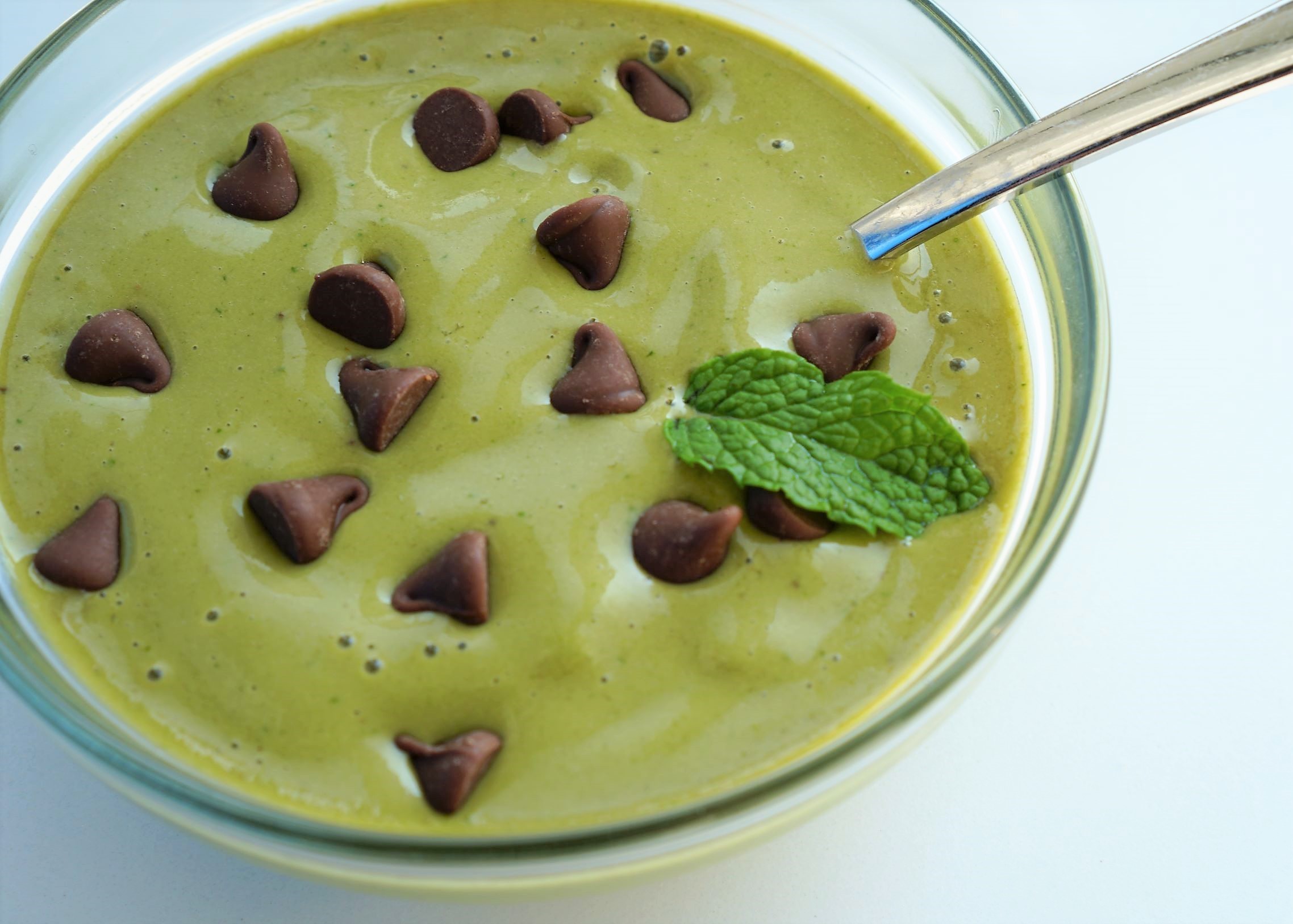 Vitamix Mint Chocolate Chip Nice Cream Bowl Just a Recipe